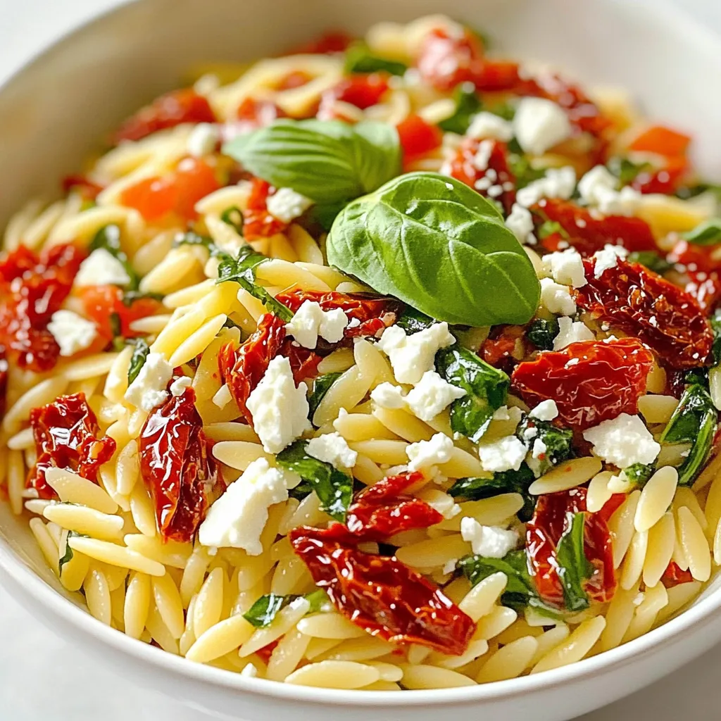 Sun Dried Tomato Orzo Flavorful and Easy Recipe