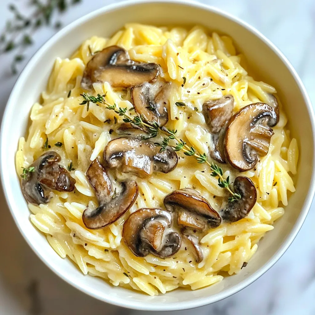 Creamy Mushroom Orzo Rich and Satisfying Meal