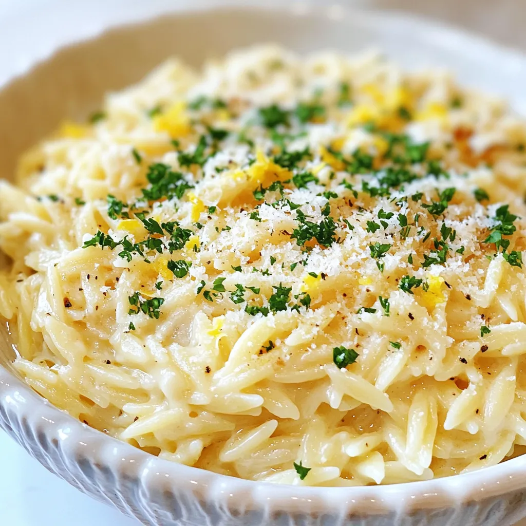 Creamy Garlic Parmesan Orzo Rich and Flavorful Dish